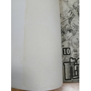 สาวใสหัวใจเกินร้อย 10 **รบกวนเลื่อนดูสภาพหนังสือก่อนการสั่งซื้อ**